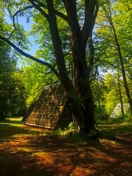 Leśny Dwór | Rudawski Park Krajobrazowy | Drewniane Chaty | W sercu lasu 