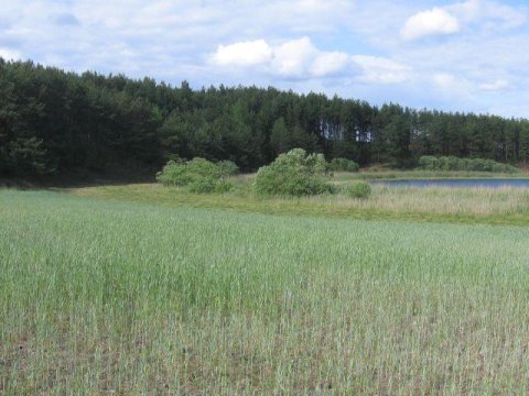Domek letniskowy na Kaszubach