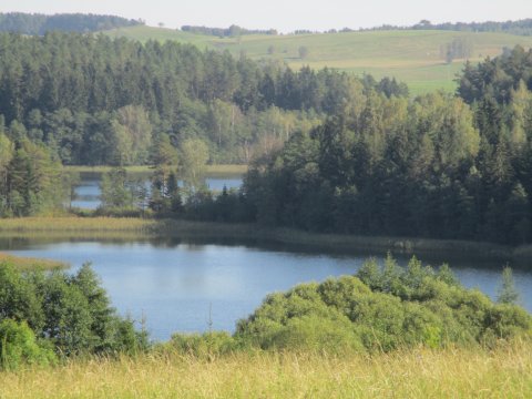  DWOREK  TELIMENA w otoczeniu jezior i gór  na 0,5 ha w lesie