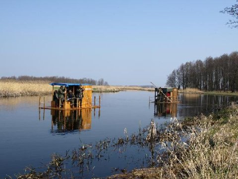 Ptasi folwark nad Biebrzą