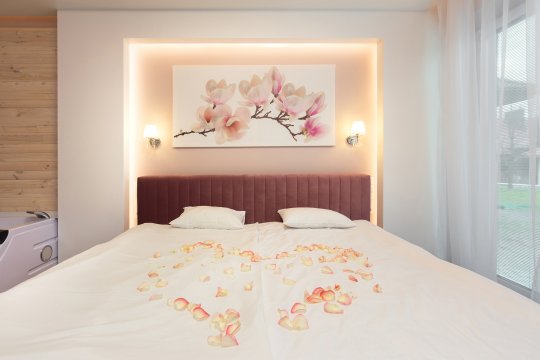 De Luxe Apartment & JACUZZI