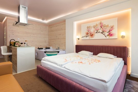 De Luxe Apartment & JACUZZI