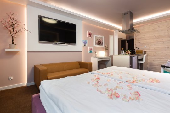 De Luxe Apartment & JACUZZI