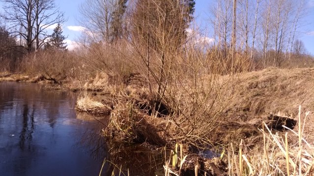 Chatka Gołdapka - pokoje w Mazurskim Zdroju