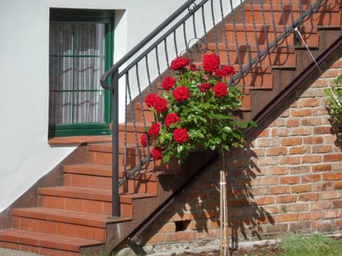 wejście apartamentu "A" - Willa Ultima - Apartamenty i pokoje (7+)