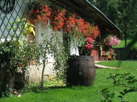OGTJ AlanO Gospodarstwo Agroturystyczne