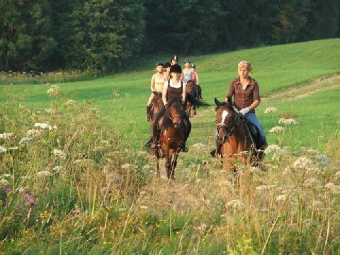 OGTJ AlanO Gospodarstwo Agroturystyczne
