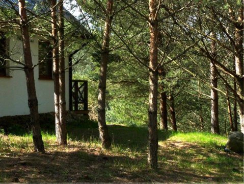 Domek w Sosnowym Lesie- Sauna