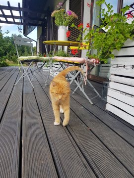 Siedlisko Gregorowo. Spokojny wypoczynek na wsi. 
