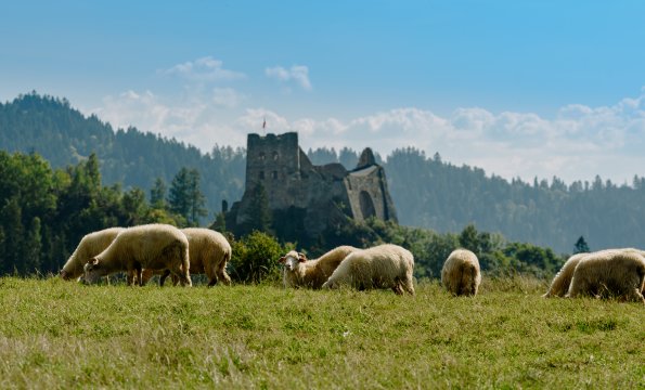 Willa Pienińska | Pokoje z balkonami, widok na Tatry i Jezioro Czorsztyńskie