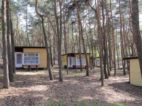 Camping STOGI nr 218 w Gdańsku - Camping STOGI nr 218