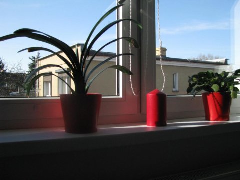 Winnica Huberta