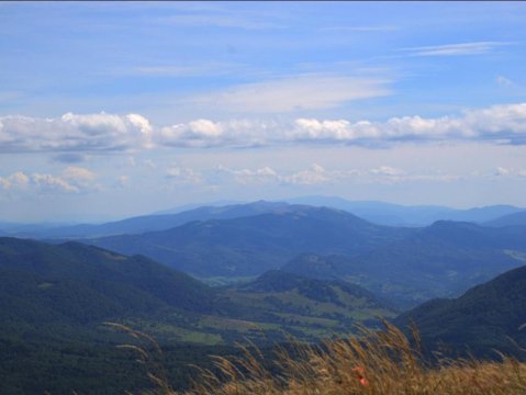 Komfortowe pokoje w pobliżu lasu, grill, regionalne jedzenie
