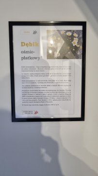 Gościniec Skorusa, blisko do szlaków i tras narciarstwa biegowego