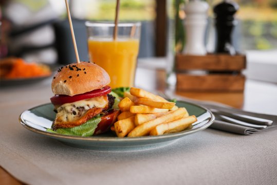Hotel przyjazny dzieciom ze stajnią i kucykami, blisko Krakowa