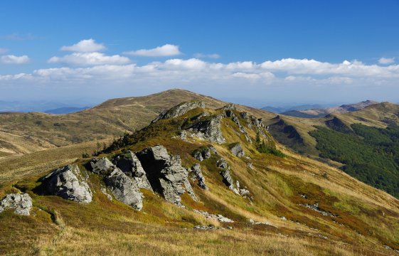 Karolówka Nad Osławą dwa pokoje, salon z kuchnią i łazienka na wyłączność.