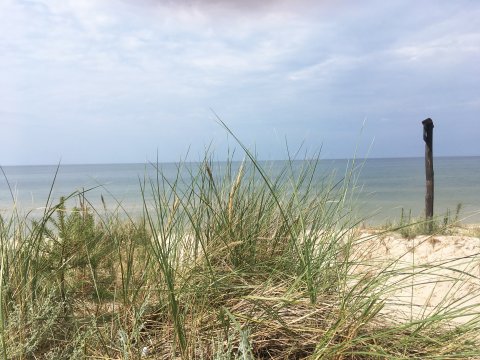 POKOJE GOŚCINNE LABA