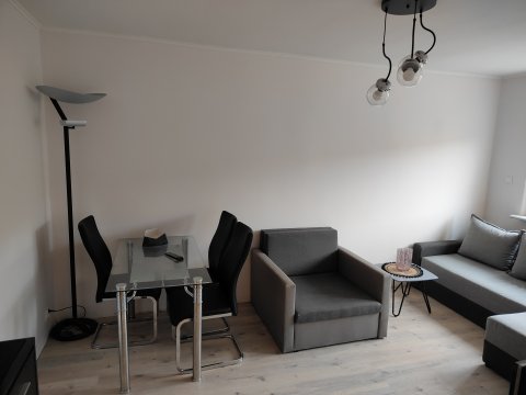 Apartament w Brzeźnie dla 3 osób 