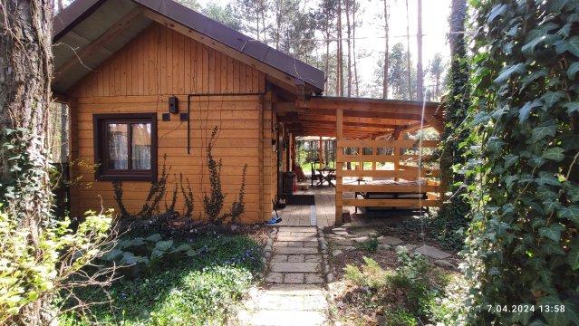 Domek Całoroczny w lesie nad jeziorem Sulejowskim, Barkowice Mokre