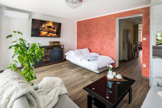 Salon, sypialnia - Apartament Castle & Lake Niedzica 