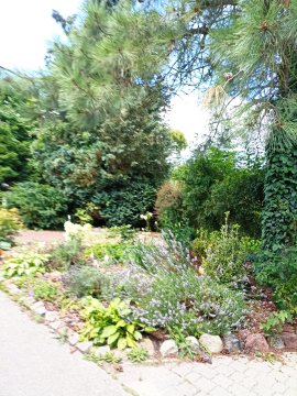 Apartament z ogrodem VILLA REGINA Gdynia