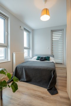 Vip Apartamenty Hetmańska