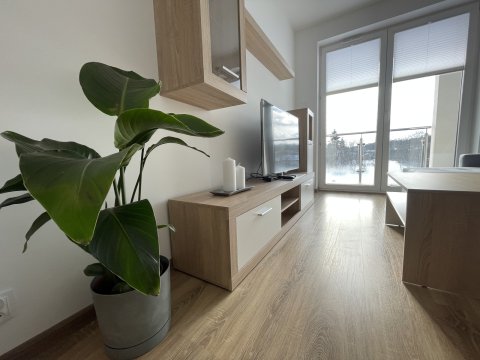 VIP Apartamenty Laurowa II