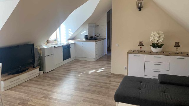 Apartament Borowik 