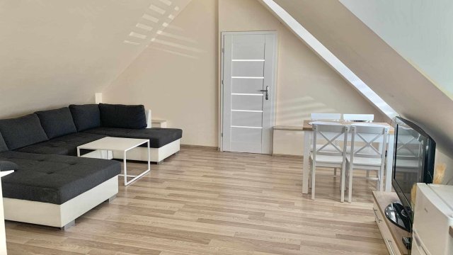 Apartament Borowik 