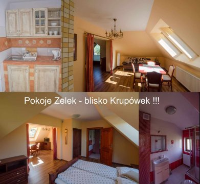 Apartament jednopokojowy Brązowy - Pokoje Zelek - centrum blisko Krupówek i PKP