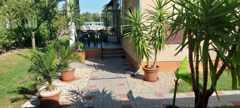 Bencze Apartman Wegry Balaton Siófok 