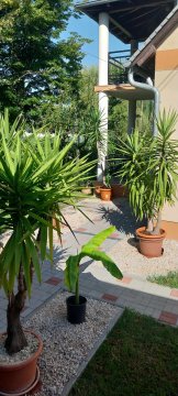Bencze Apartman Wegry Balaton Siófok 