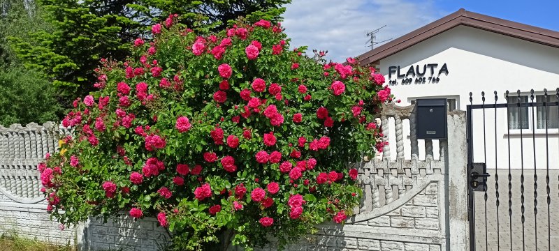 Flauta Apartamenty Rodzinne