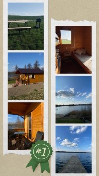 Domek w borach 