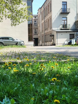 Perła Śródmieścia & Parking