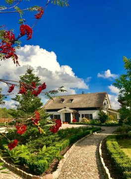 Duży Domek nad jeziorem z własną plażą i sprzętem wodnym, rowery, grzyby, kucyki