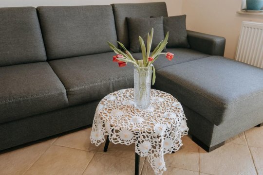 Widok na złożoną sofę - Apartament Milbertus