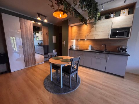 Oliwkowy Apartament