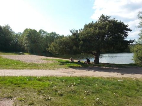 Cudodomek na Mazurach w Woszczelach koło Ełku