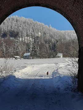 Gospodarstwo Zacisze-Alpaki