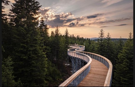 Domki Letniskowe Pod Skamieniałym Miastem