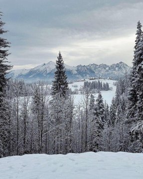 Wierchowa Polana Apartments