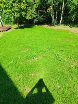 Brzozowy zakątek w Pokrzywnej