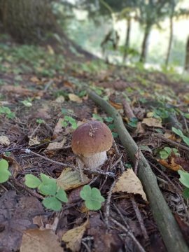 Folwark Noclegowy w Nowej Morawie - Holenderka na wys 600 m