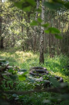 WieloDom - kryjówka na wsi