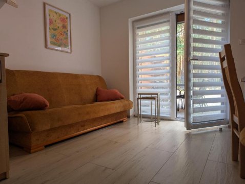 Studio Leśny Miodek w Sielpia Wielka