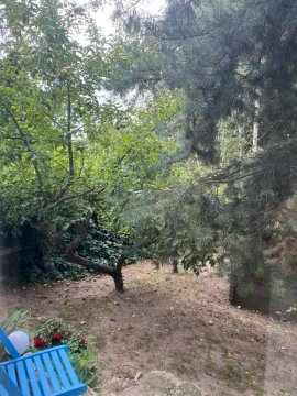 Blue cottage near Krakow