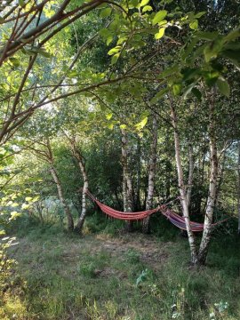 Charming Tiny House in the meadow
