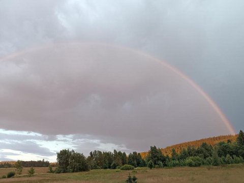 Charming Tiny House in the meadow