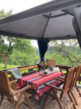 Dom w Sadzie Frydrychówka